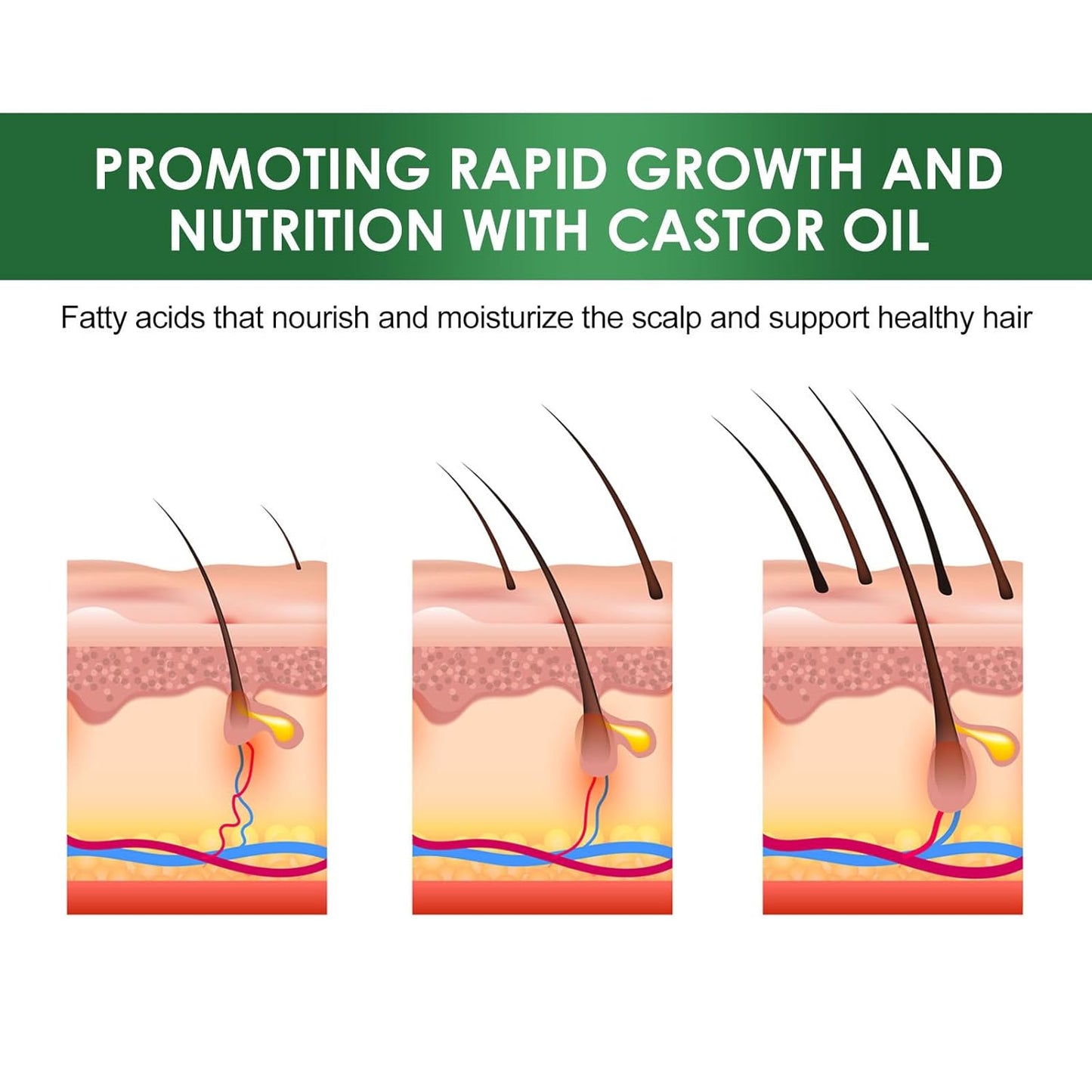 Jamaican Black Castor Oil - 100% Pure Organic Cold Pressed for Hair Growth, Eyelash/Eyebrow Serum, Scalp and Nail Care, Glass Bottle (2.02 Fl Oz) (small, castor)