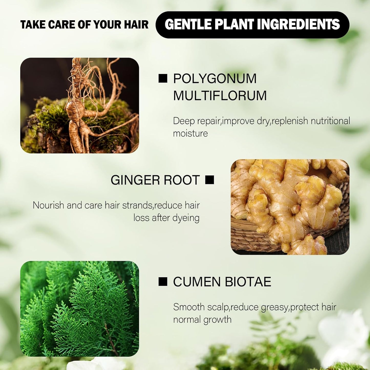 Easy Black Hair Dye,Natural Hair Dye Shampoo for Women,Semi Permanent Hair Color Cover Gray White Hair,Champu Para Canas Hair Dye 4 in 1 With Comb Herbal Plant Hair Color Shampoo(Black)