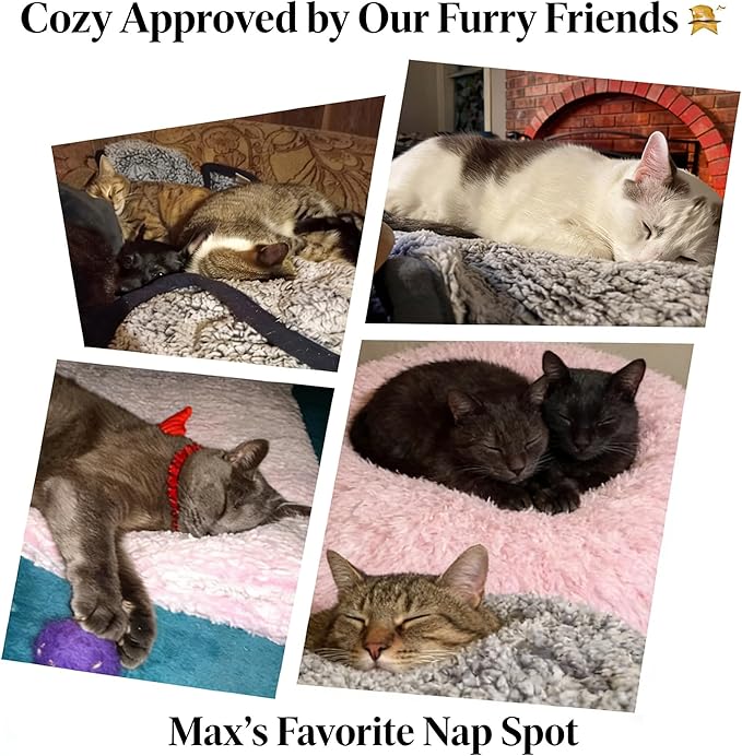 EMME Soft Sherpa Fleece Blanket Reversible Plush Fluffy Large Blanket, Light Weight Warm Decorative Boho Blanket Cover for Sofa, Couch, Bedroom,Travel(Plush Grey,60"x80")