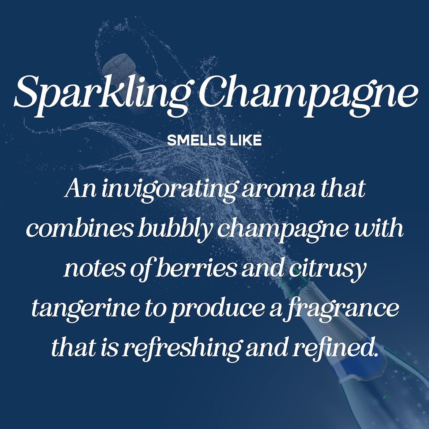 CANDECraftCo Premium Fragrance Oil – Diffuser Oils Fragrances Scented for Home, Candle Soap Making Supplies, Aromatherapy Blends for House (0.34 Fl Oz) (2-Pack, Sparkling Champagne)