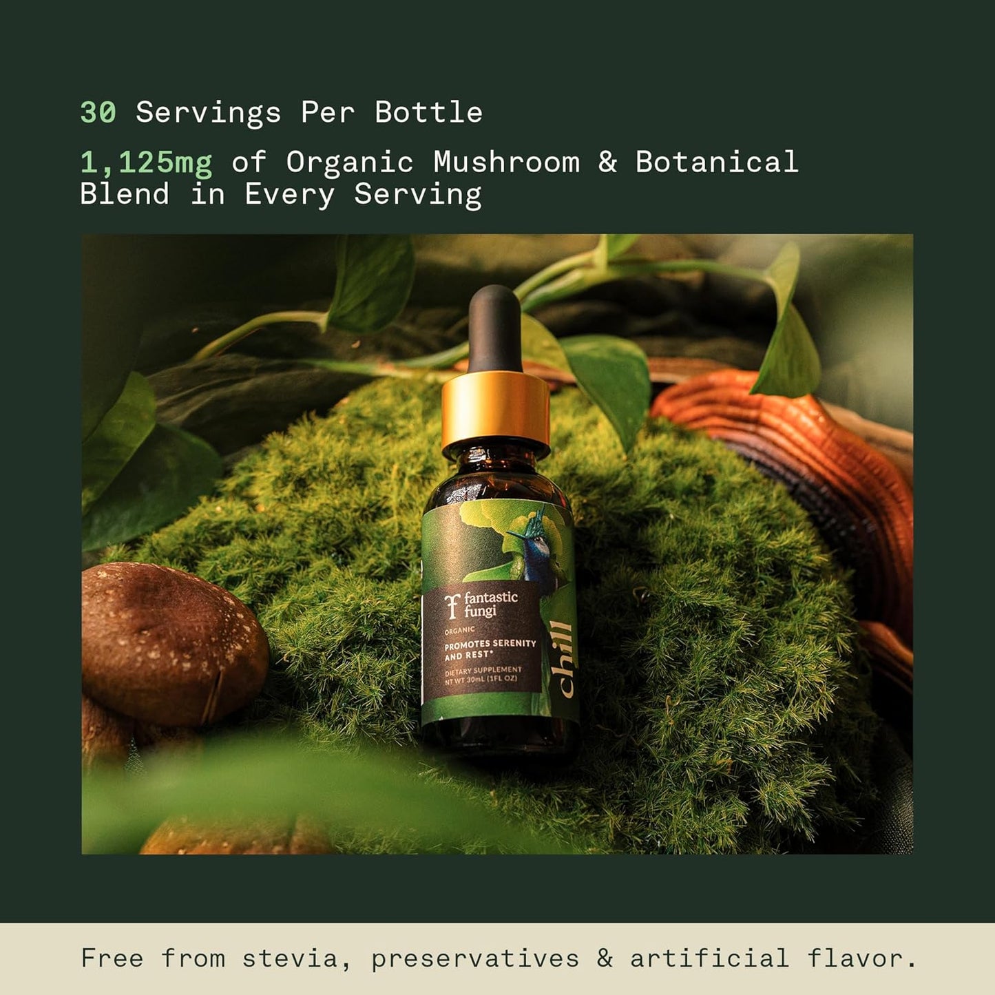 Reishi Mushroom Extract Drops Fantastic Fungi Chill Elixir, 4-in-1 Mood Support Supplement w/ Holy Basil & Shiitake Mushrooms for Relaxation & Calm | 100% Organic & Natural | 30 Servings, 1 fl oz