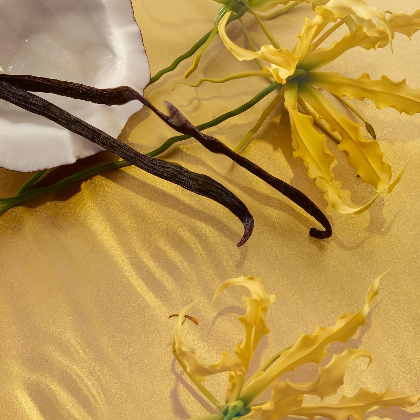 Le Monde Gourmand Le Beach Eau de Parfum