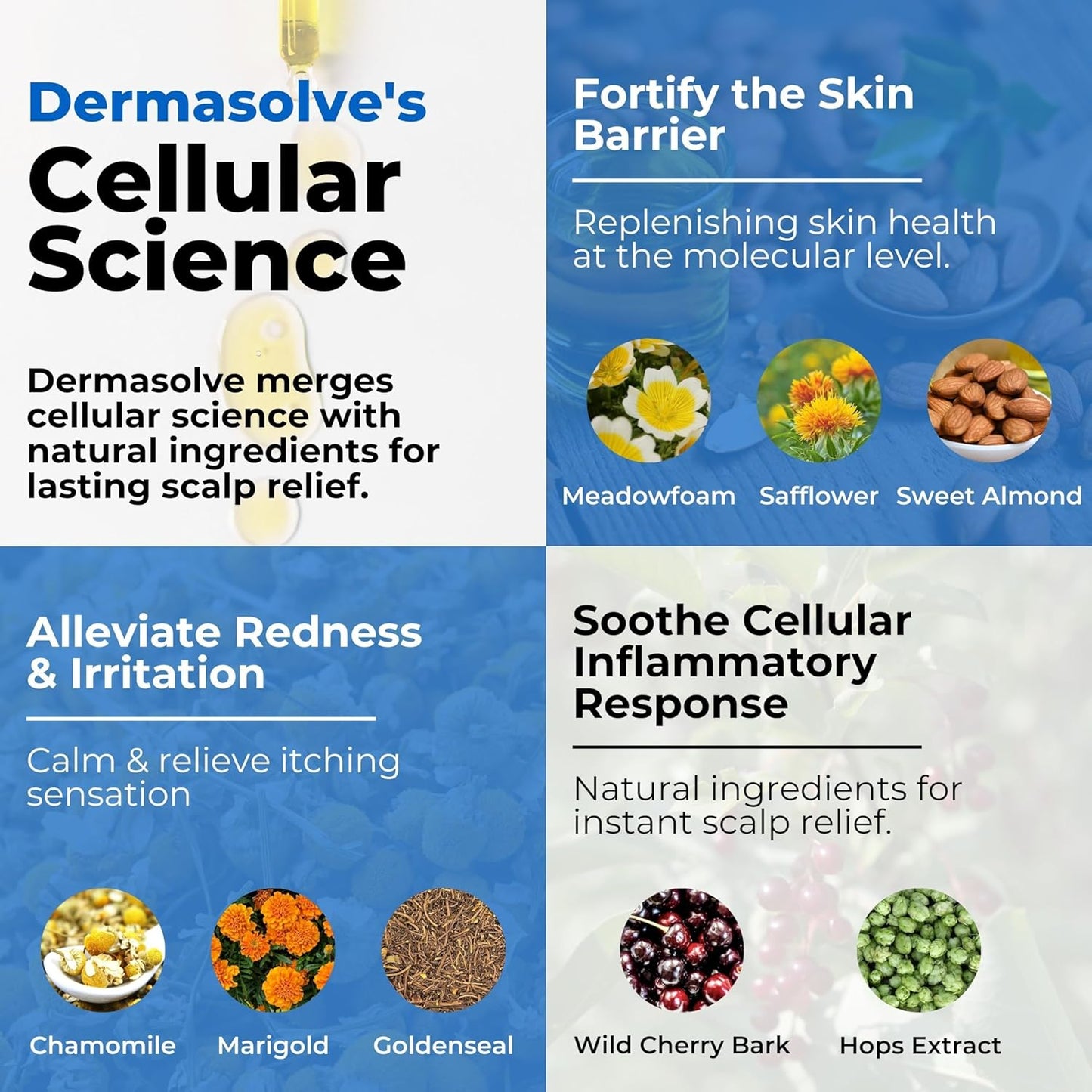 Dermasolve Psoriasis & Dandruff Oil, Dermatologist Approved for Flaky Scalp Relief