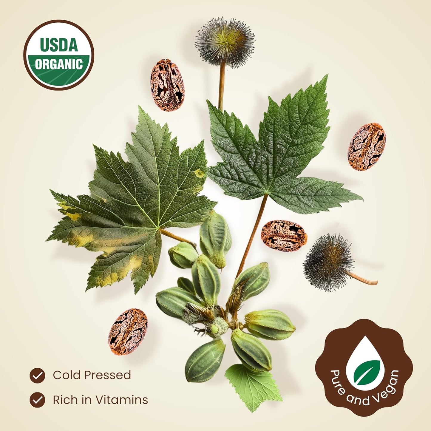 BodyJ4You Castor Oil Eyelashes Eyebrows - 100% Pure Natural USDA Organic Cold Pressed - Hydrating Skin Hair Growth Oil Lashes Scalp - Non-GMO Hexane Free Carrier Unrefined (2 Fl Oz (60 ml) - KIT)